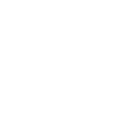 icon-phone-white
